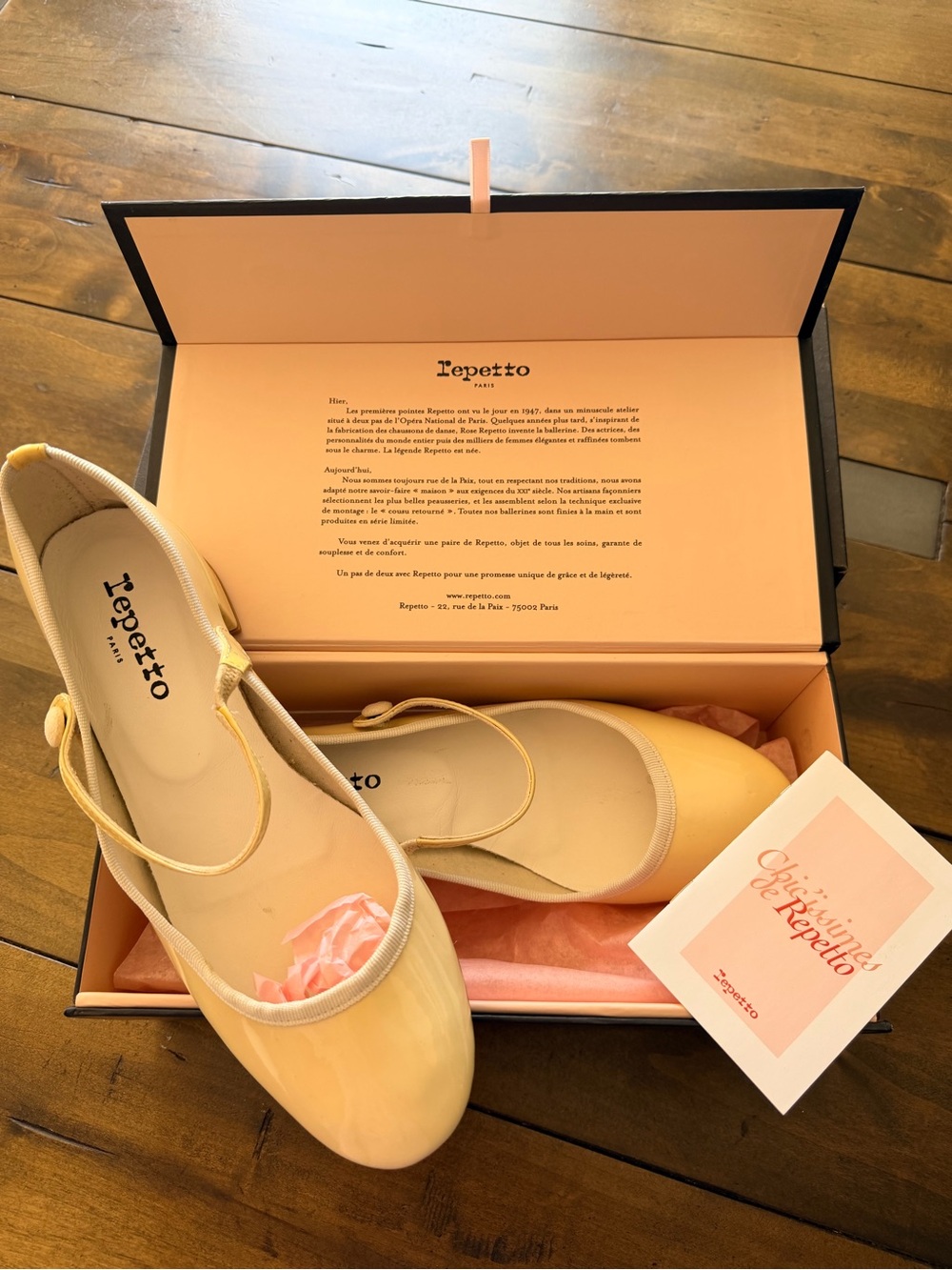 Repetto Ballet Mini-heel NIB Mary Jane 39 Made in France